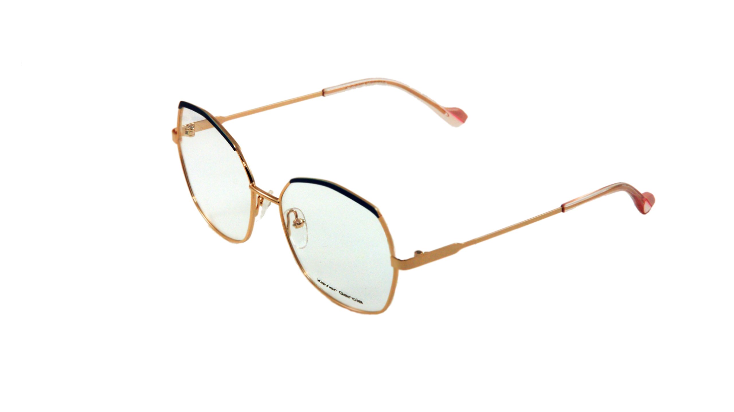 Xavier Garcia  LISA 01